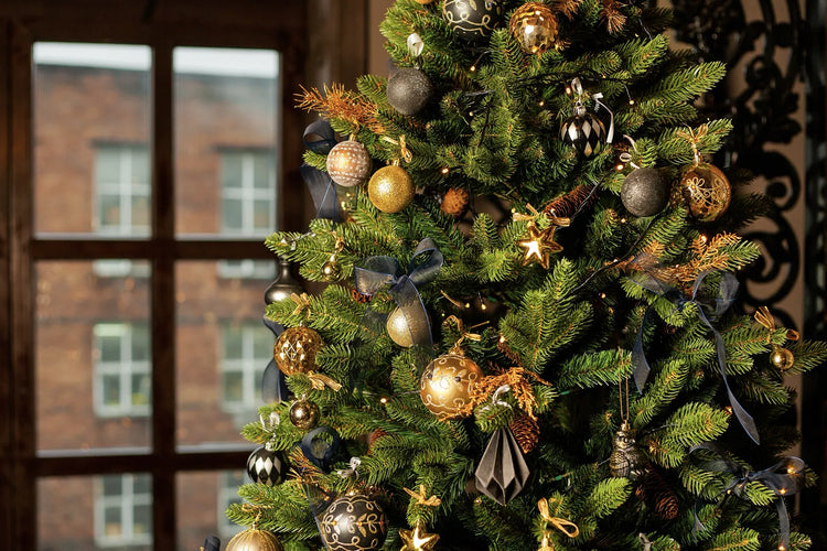 How Long Does a Real Christmas Tree Last?