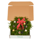 Christmas Wreath Gift Set – Decorated, 12in, with Hook
