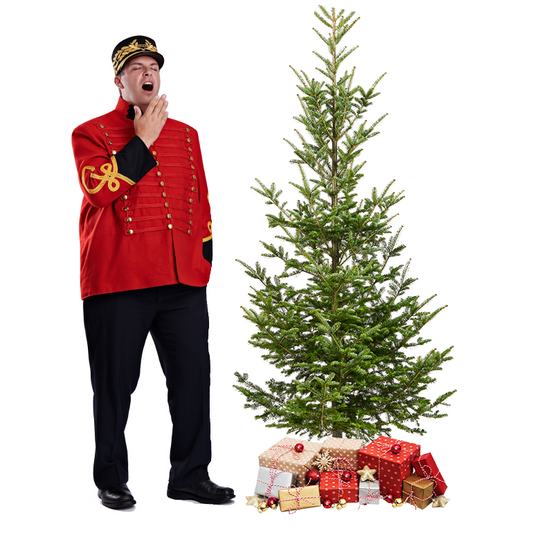 Wild Fir Christmas Tree