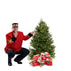 Balsam Fir Christmas Tree