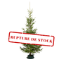 Wild Fir Christmas Tree