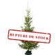 Wild Fir Christmas Tree