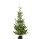 Wild Fir Christmas Tree