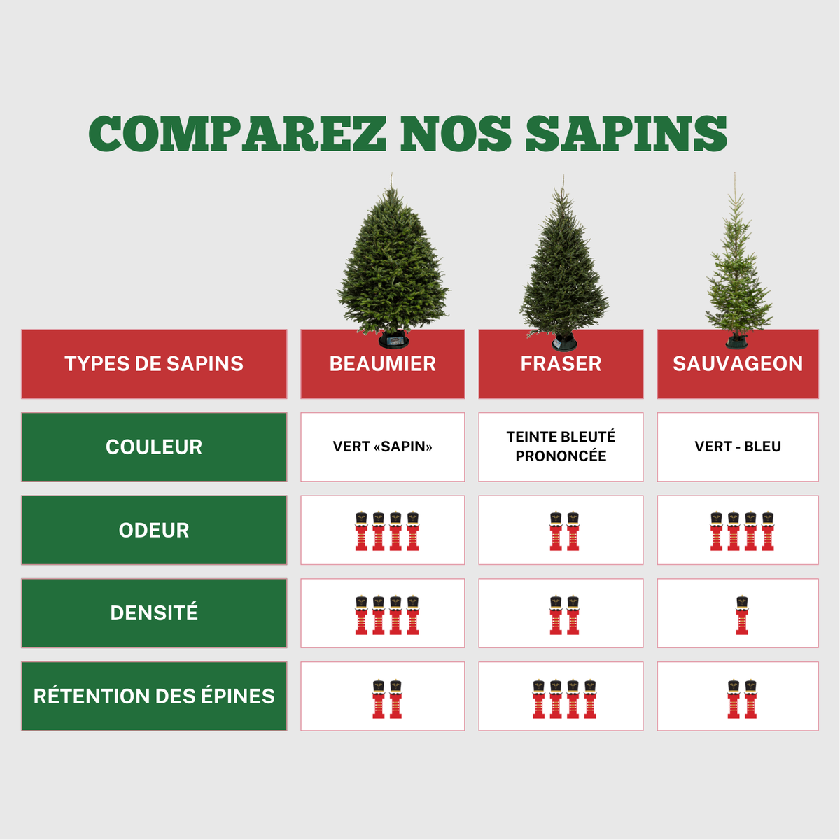 Balsam Fir Christmas Tree