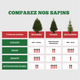 Balsam Fir Christmas Tree