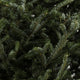 Fraser Christmas tree