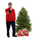 Balsam Fir Christmas Tree