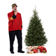 Fraser Christmas tree