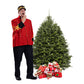 Balsam Fir Christmas Tree