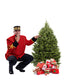 Balsam Fir Christmas Tree