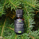 Balsam Fir Essential Oil – Arbressence, 18ml